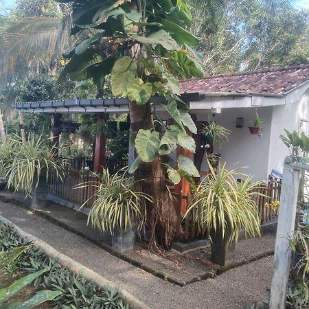Lovers Green Villa Matara Luaran gambar