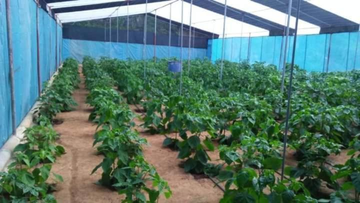 Lovers Green Villa Matara Luaran gambar