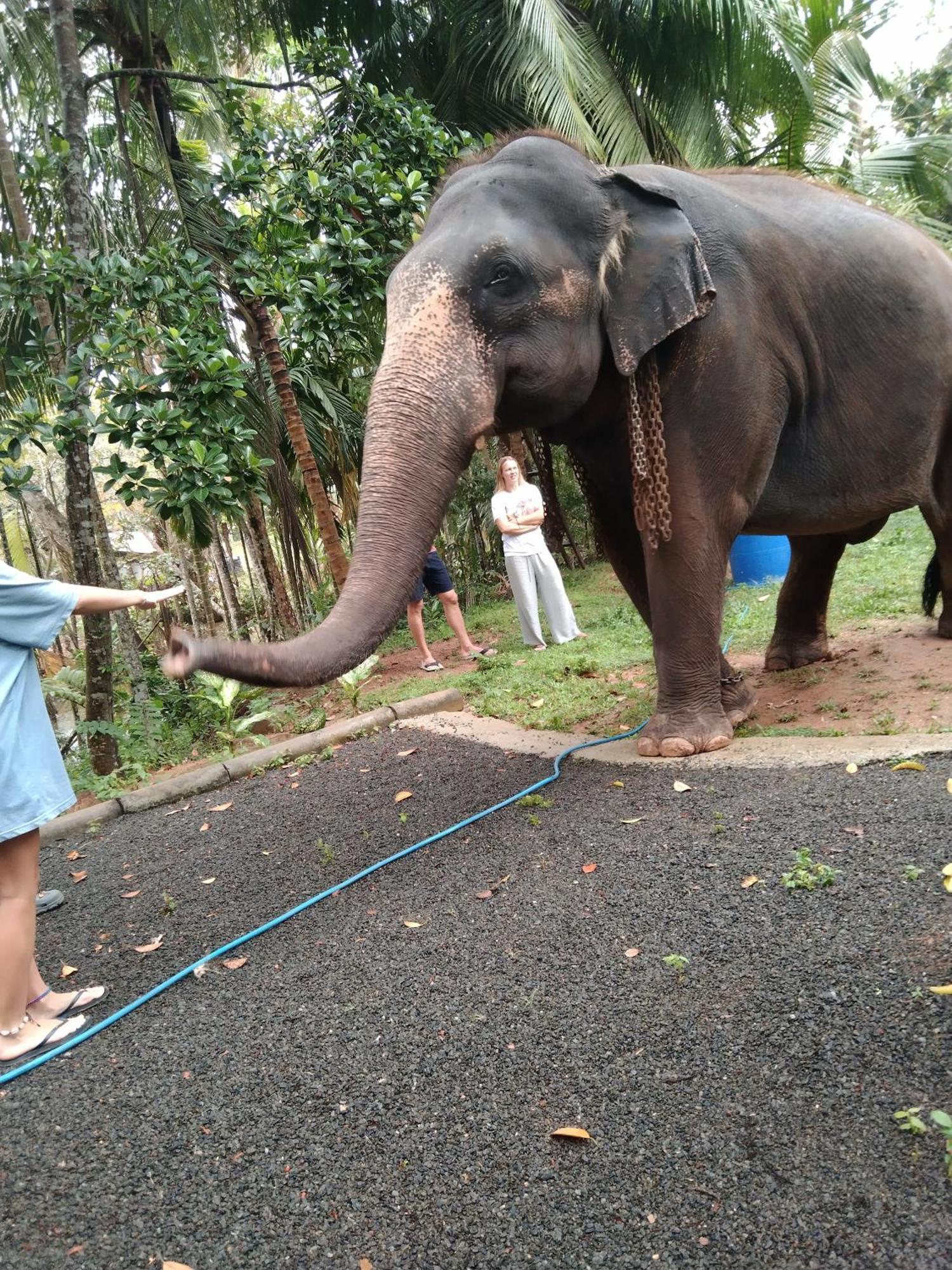 Lovers Green Villa Matara Luaran gambar