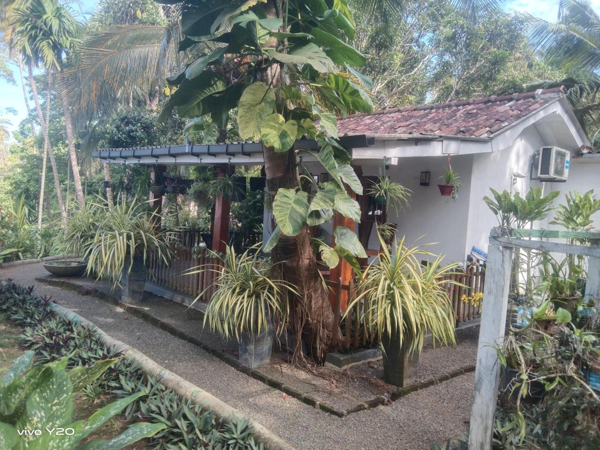Lovers Green Villa Matara Luaran gambar
